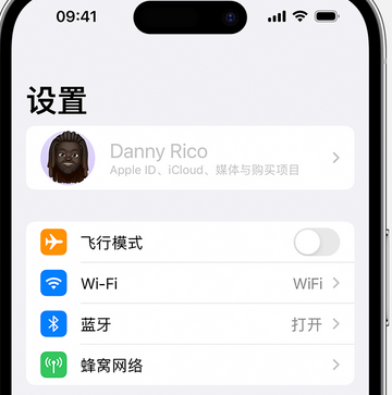 贡井appleID维修服务iPhone设置中Apple ID显示为灰色无法使用