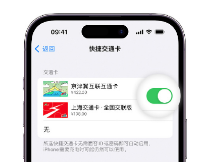 贡井apple维修点分享iPhone上更换Apple Pay快捷交通卡手绘卡面 