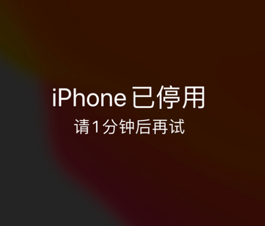 贡井苹果手机维修分享:iPhone 显示“不可用”或“已停用”怎么办？还能保留数据吗？ 