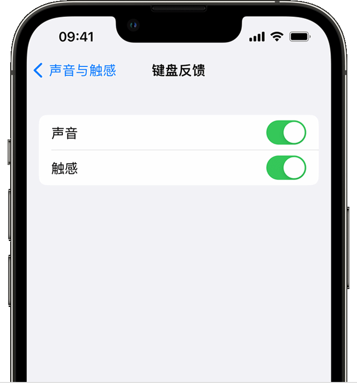 贡井苹果14维修店分享如何在 iPhone 14 机型中使用触感键盘 