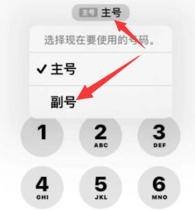 贡井苹果14维修店分享iPhone 14 Pro Max使用副卡打电话的方法 