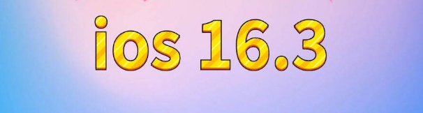 贡井苹果服务网点分享苹果iOS16.3升级反馈汇总 