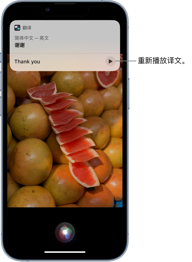 贡井苹果14维修分享 iPhone 14 机型中使用 Siri：了解 Siri 能帮你做什么 