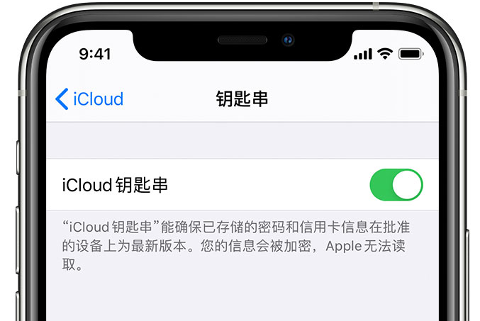 贡井苹果手机维修分享在 iPhone 上开启 iCloud 钥匙串之后会储存哪些信息 